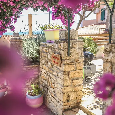 Joannas Sea-View Stone House Apartment Katavolos Exterior photo