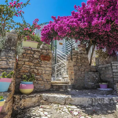 Joannas Sea-View Stone House Apartment Katavolos Exterior photo